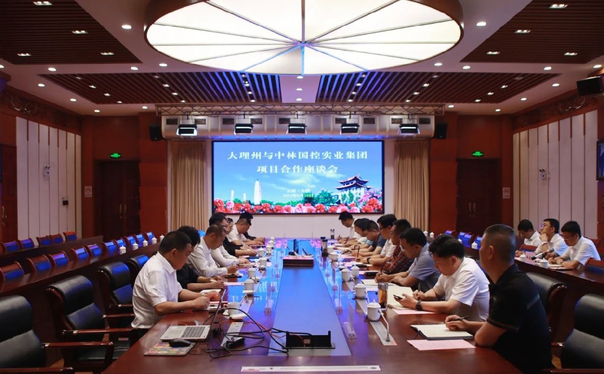 陈真永与中林国控实业集团董事长许立一行举行工作座谈
